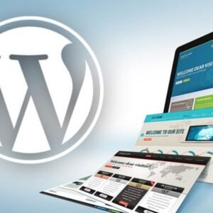 wordpress website premium